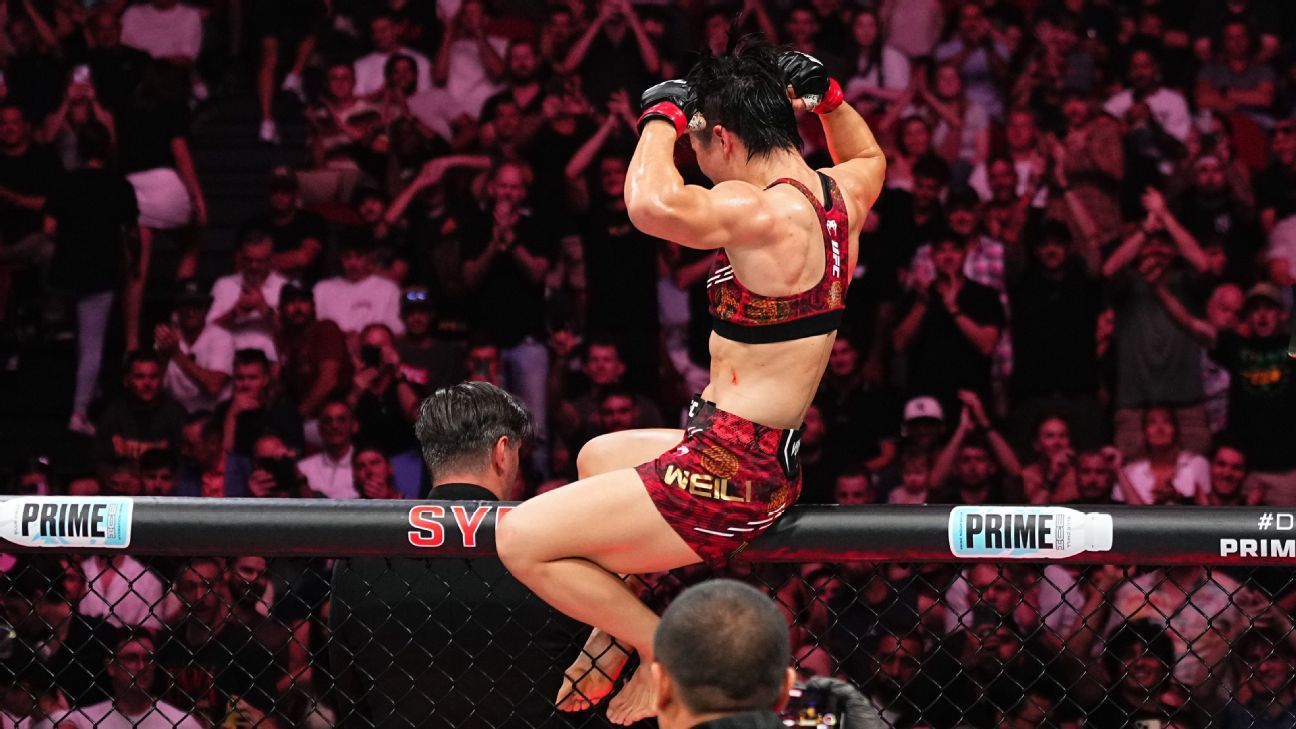 球迷的忠诚 球迷的忠诚