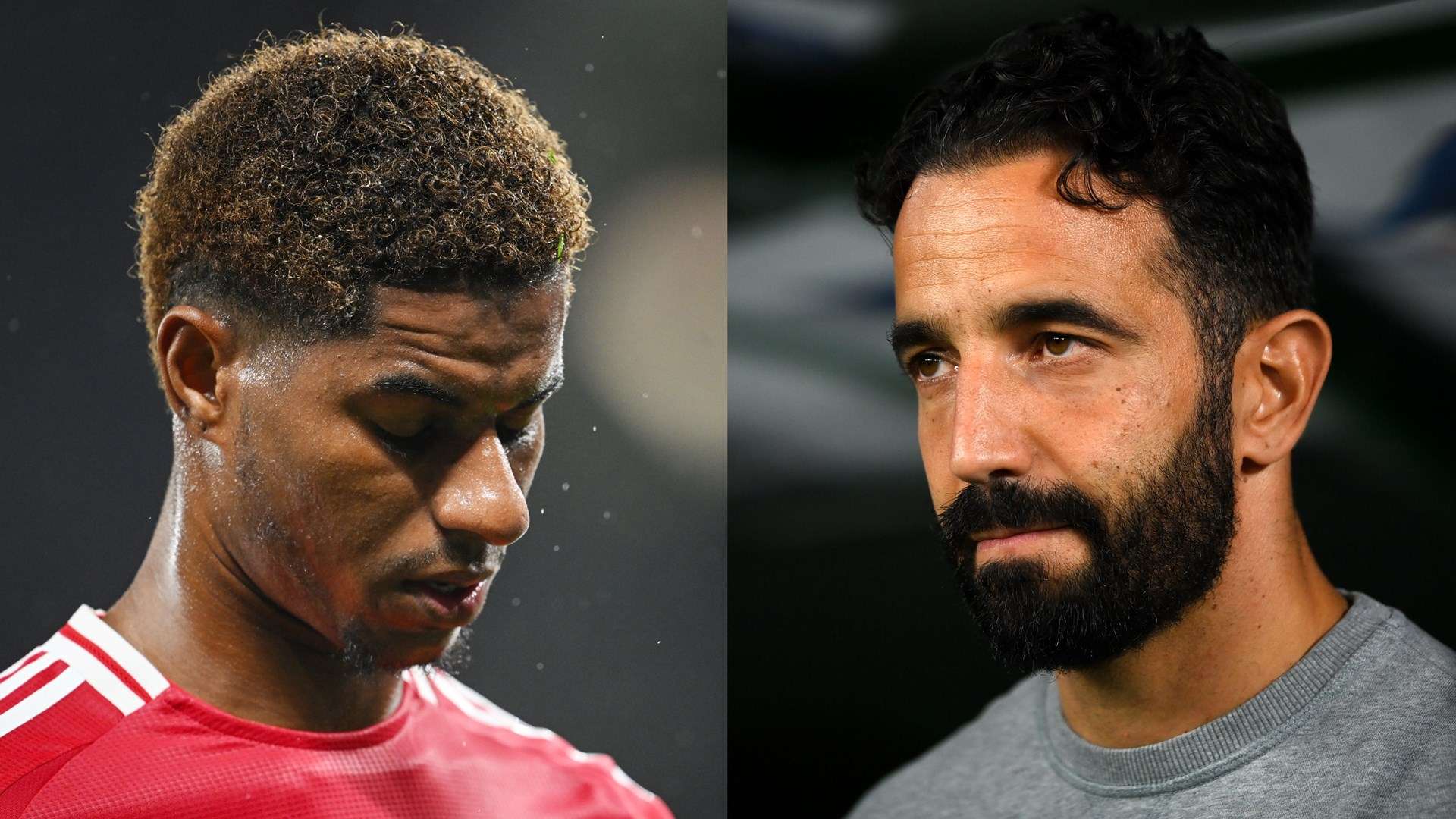 势必会吸引 势必会吸引